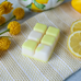 natural scented coco wax melts