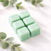 Just Breathe Wax Melts Clamshell | Eucalyptus Lemon Sea Salt Spearmint Juniper 3 oz.