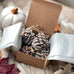 Fire Starters Fireside | Set of 6 Pine Cones | Cypress + Cedar + Fir + Amber