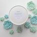 bloomulent succulent wax melts