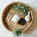 coconut sandalwood soy candle