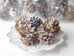 Fire Starters Marshmallow Fireside | Set of  3 Pine Cones | Melts