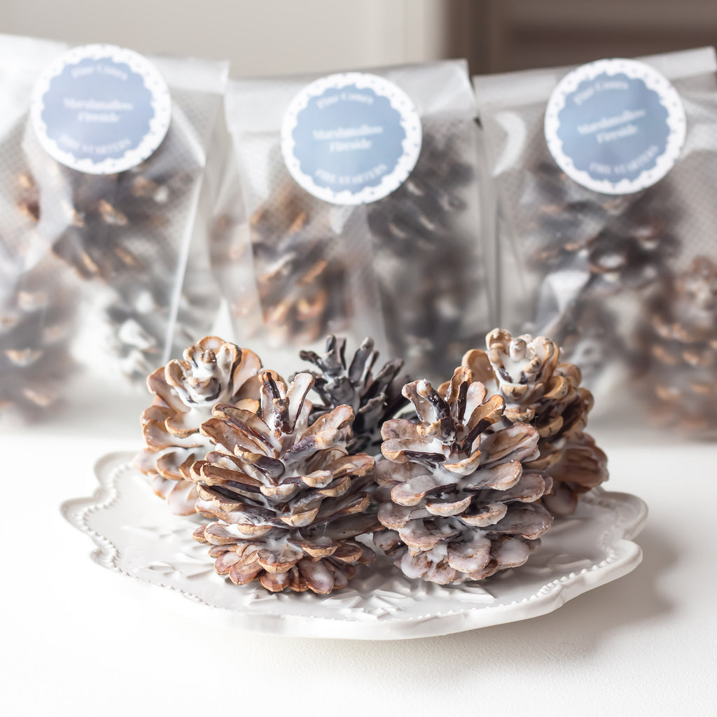 Fire Starters Marshmallow Fireside | Set of  3 Pine Cones | Melts