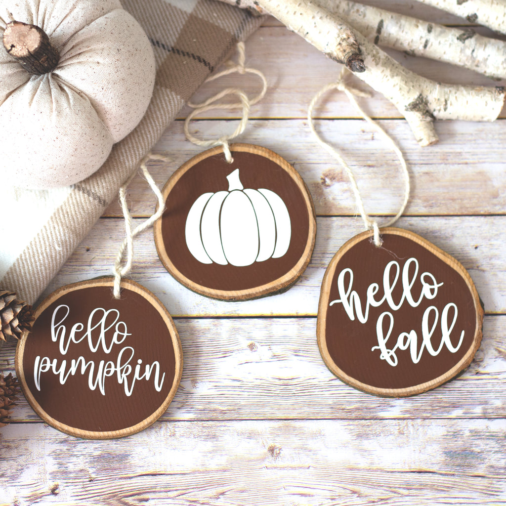 Farmhouse Fall Decor Ornaments Set of 3 - Brown Fall Thanksgiving Tiered Tray Decorations